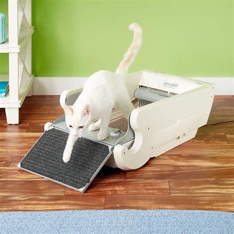 best electric cat litter box|chewy cat litter boxes automatic.